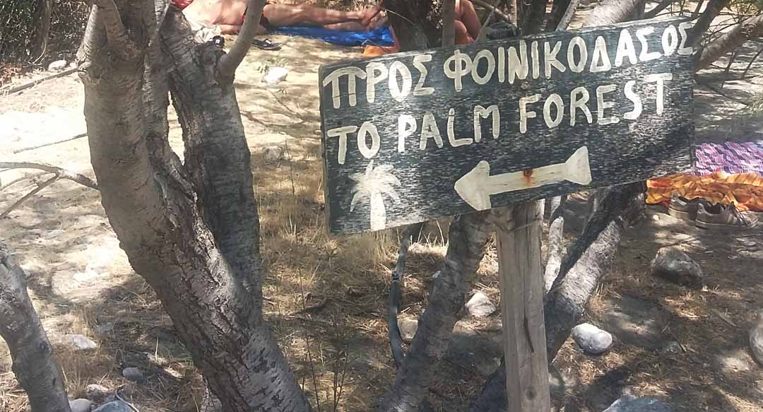 Tofoinikodasos