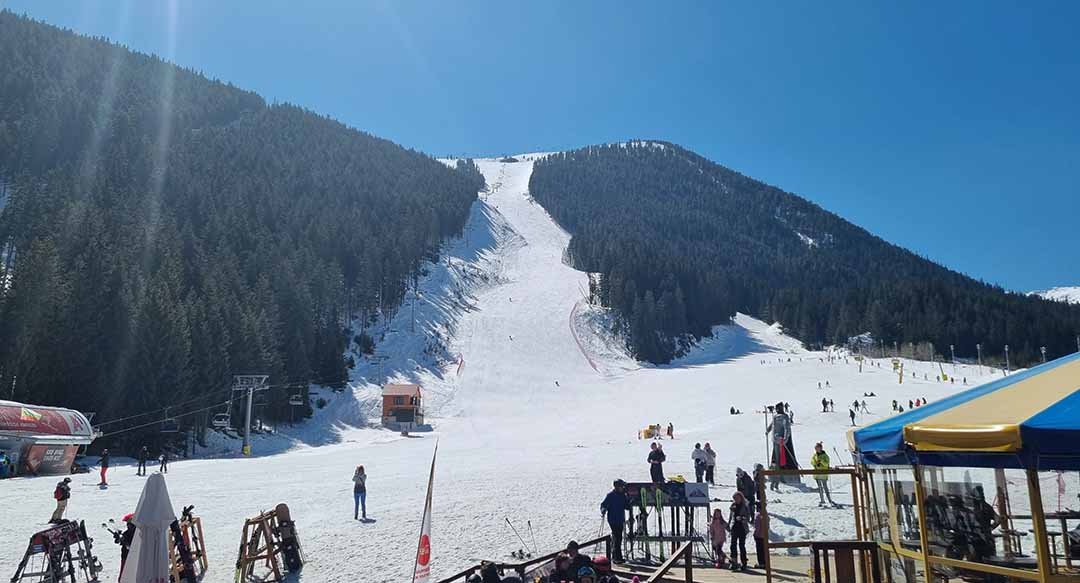 BanderitsaPolyanna bansko