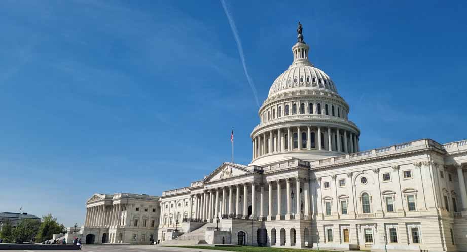 The US Capitol