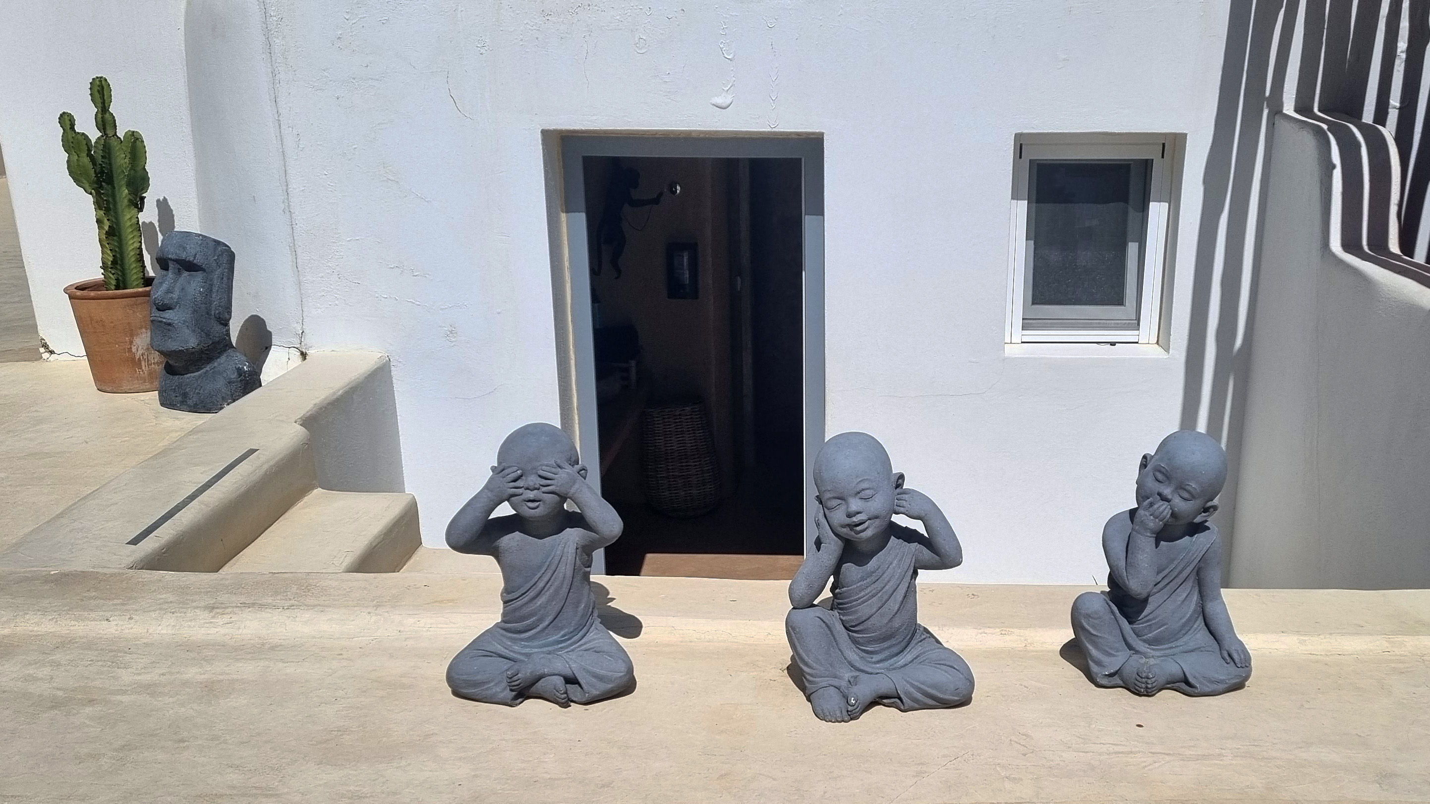 tortuga Naxos