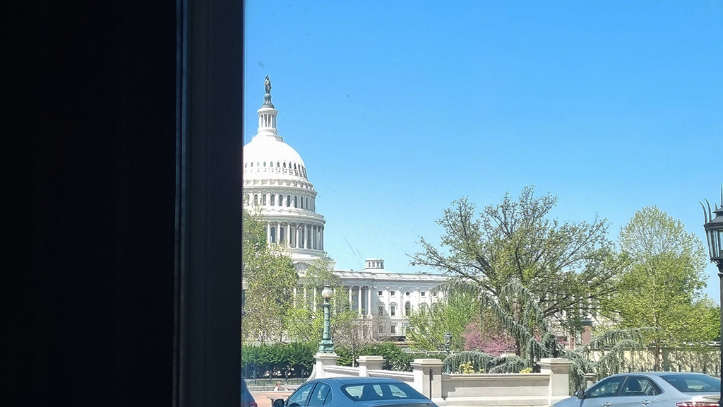 View of the Capitol from Library Of Congress