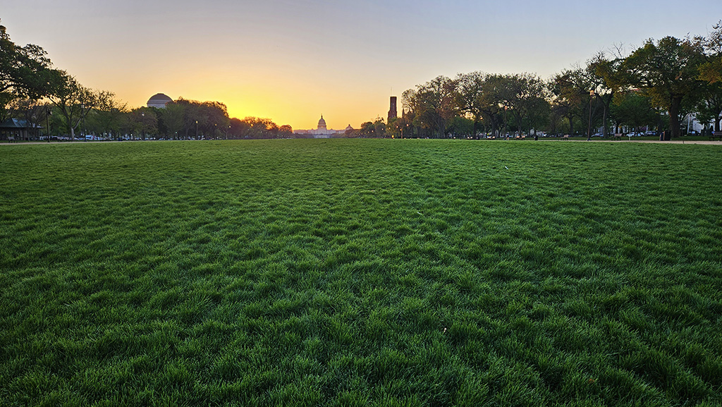 Capitol Lawn