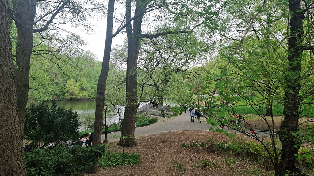 Cenrtal Park Glimpse