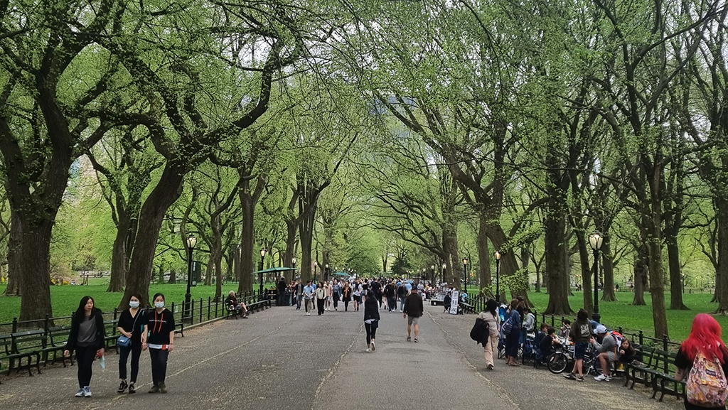 Grand Promenade The mall