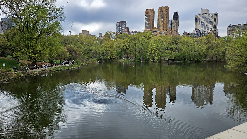 The Lake