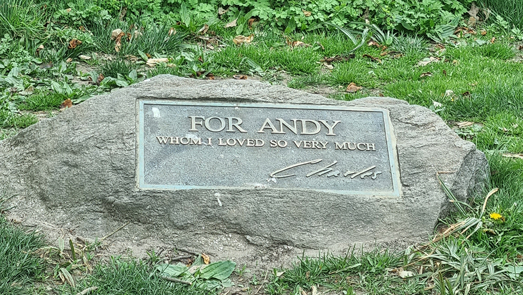To Andy Central park