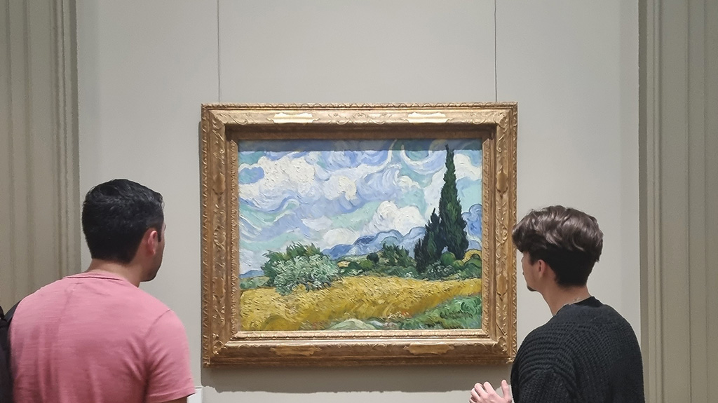 Cypress Van Gogh