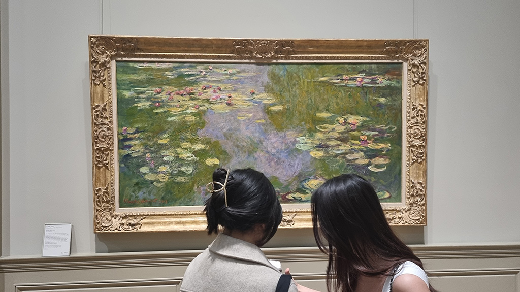 Water Lillies