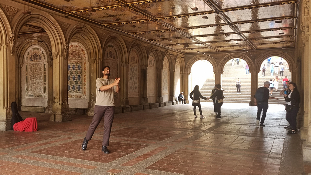 singer In Bethesda Terrace