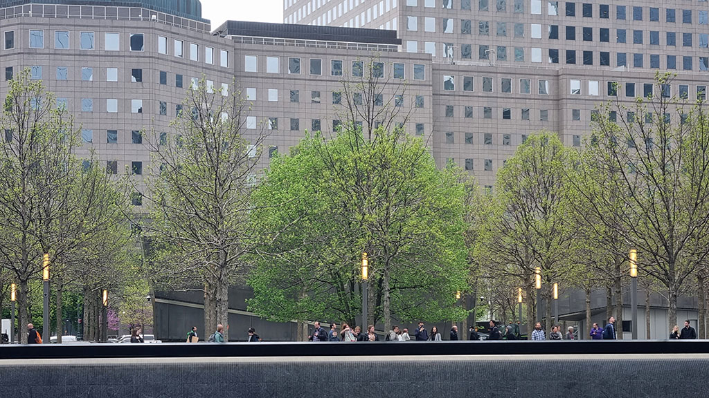 Survivors Tree