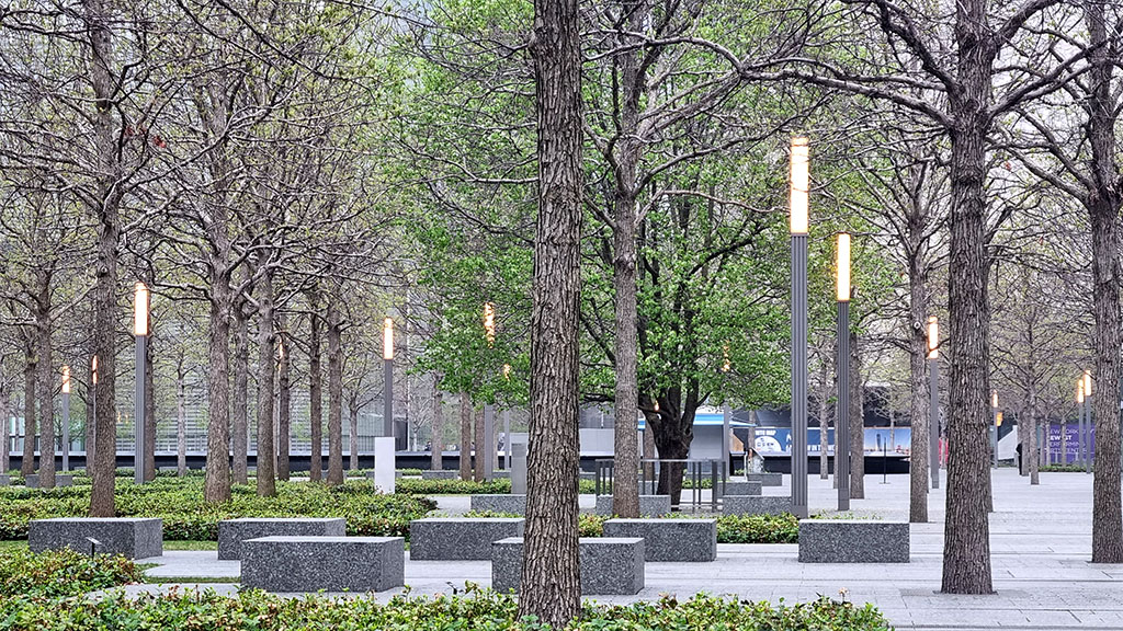 Survivors Tree wtc