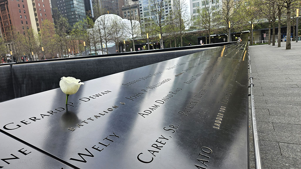 Birthday white Rose At WTC