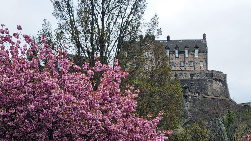 castle In The Spring