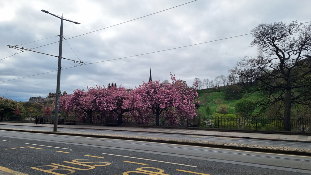 trams in princes street