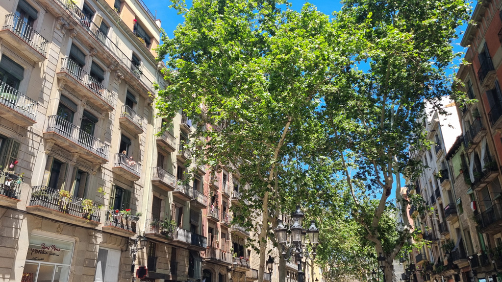 Passage El Born