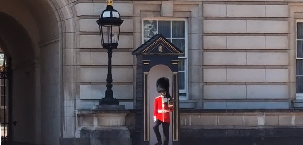 Bearskin Cup Buchingham palace