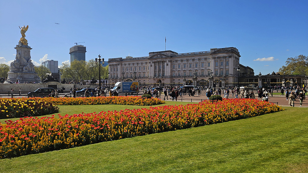 The Buckingham Palace
