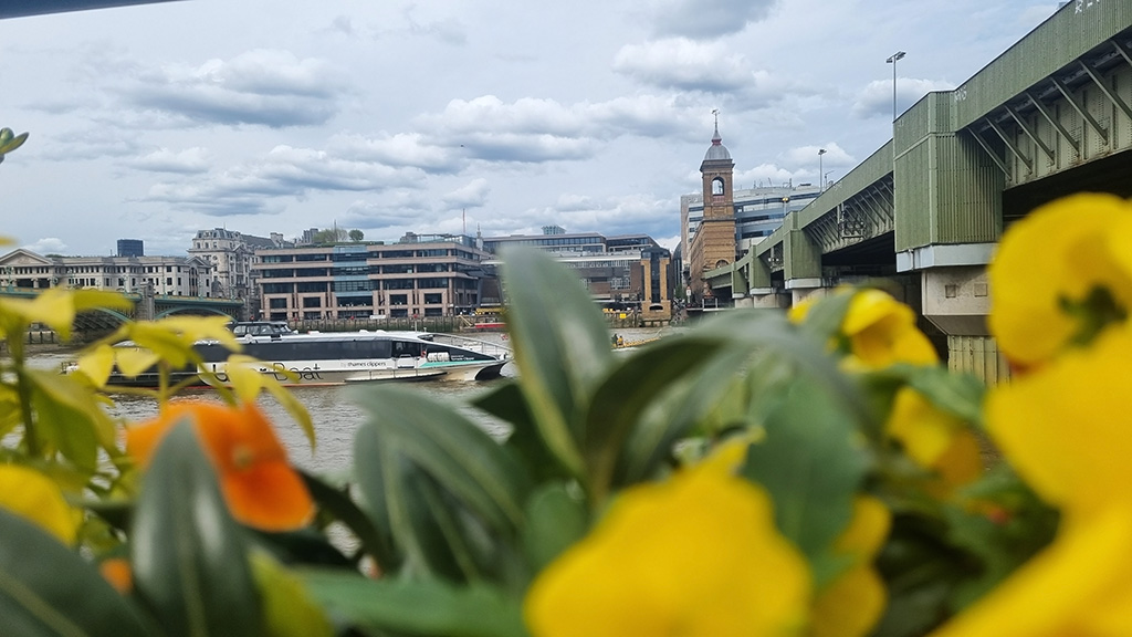 by Thames